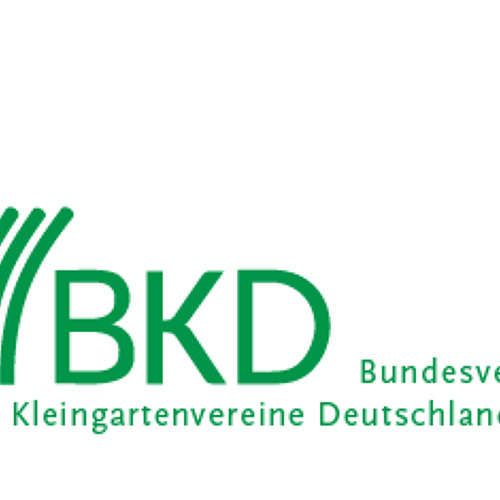 BKD informiert 05/2025