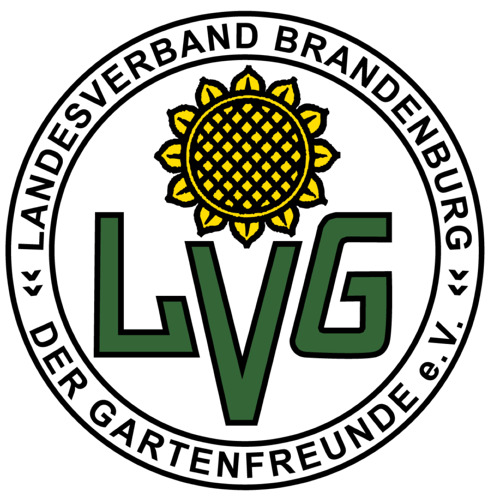 Tag des Ehrenamtes des Landesverbandes