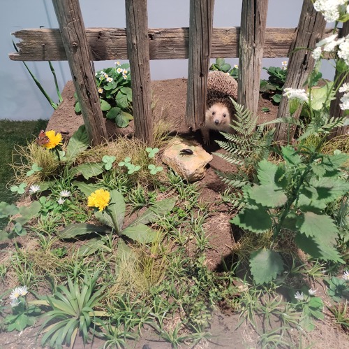 Landesverband Th&uuml;ringen der Gartenfreunde e.V. meets Deutsches Gartenbaumuseum