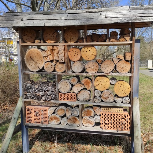 N&uuml;tzlinge sch&uuml;tzen, Insektenhotel hilft