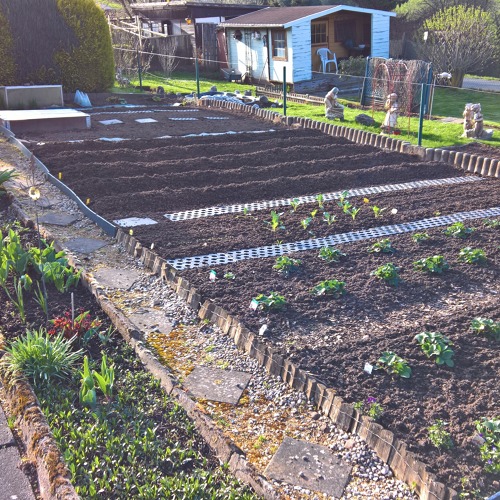 Der Fr&uuml;hling kommt.... was ist im Garten zu tun