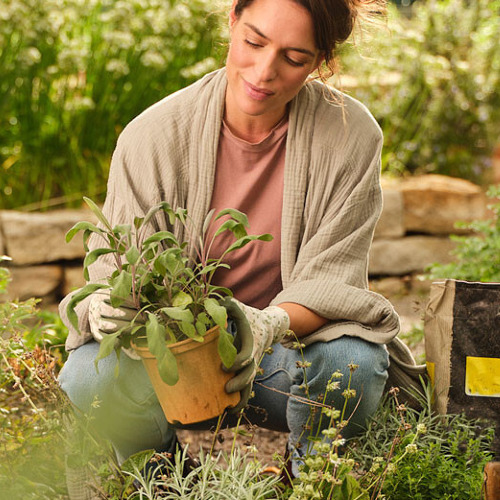Torfverzicht im Hobbygartenbau