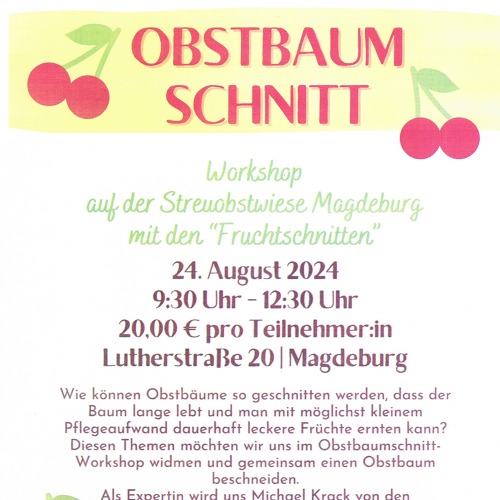 Obstbaumschnitt -Workshop auf der Streuobstwiese