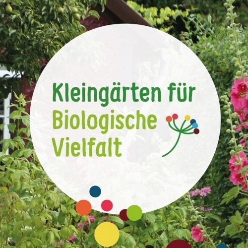 Digitale Gartensprechstunde: Tagfalter im Kleingarten 