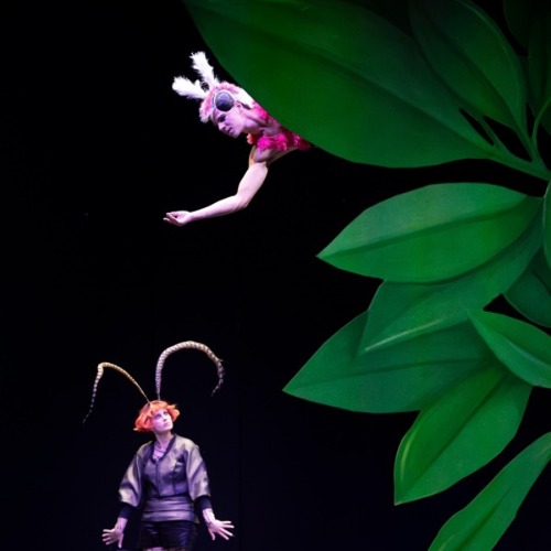 "Förderung" der Artenvielfalt auf der Theaterbühne    