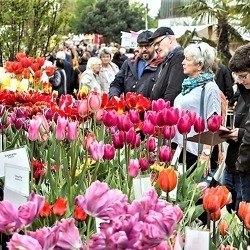 Gartenmarkt "Sp&auml;th'er Fr&uuml;hling"