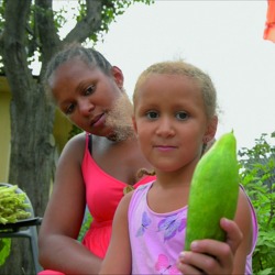 Wettbewerb &bdquo;G&auml;rten der Integration&ldquo;: Frist f&uuml;r die 2. Auszeichnung l&auml;uft