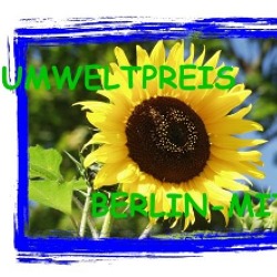 Umweltpreis Berlin-Mitte 2018: Preisverleihung