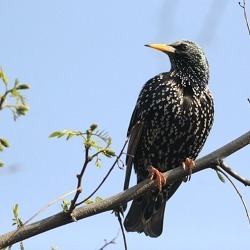 Hier wohnen die Stars