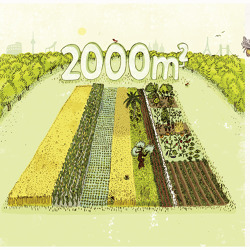 Acker-Talk: Was ist Pflanzengesundheit?