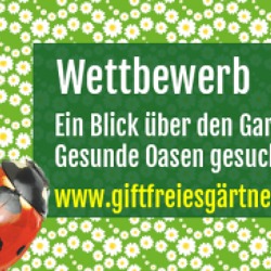 Wettbewerb "Ein Blick &uuml;ber den Gartenzaun": Bewerbungszeitraum l&auml;uft