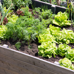 Der Kompost - eine wichtige Gr&ouml;&szlig;e in jedem Kleingarten