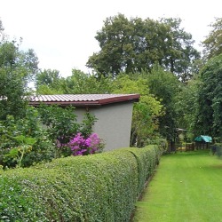 Hecken im Garten – richtige Wahl und richtige Pflege