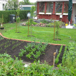 Kleingärtnerische Nutzung aus gartenfachlicher Sicht
