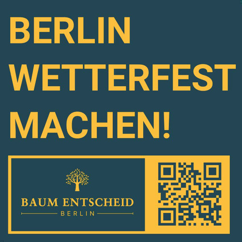 BaumEntscheid &nbsp; &nbsp;