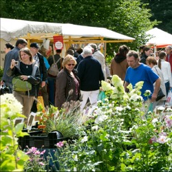 Berliner Staudenmarkt
