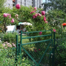 Preisverleihung: 4. Landeswettbewerb "Kleine G&auml;rten - bunte Vielfalt"