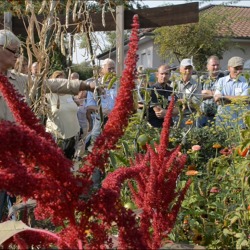 8. Forum Stadtg&auml;rtnern: Berlin im (Klima-)Wandel. Die Bedeutung von Klein- und Gemeinschaftsg&auml;rten