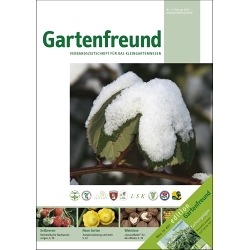 Februar 2011