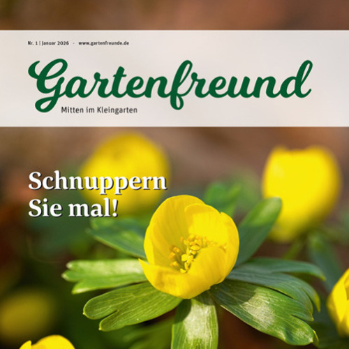 Januar 2026