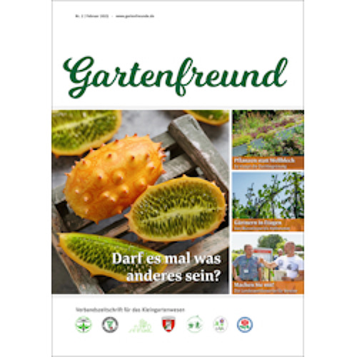 Februar 2025