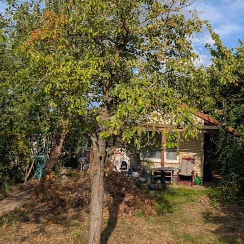 Kleingärtnerverein Brodweg e.V.