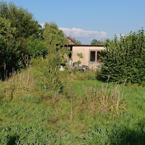 Kleingärtnerverein Brodweg e.V.