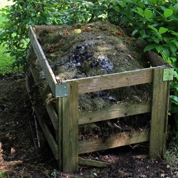 Unser Gartenfachberater informiert im Oktober