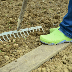 Unser Gartenfachberater informiert im November