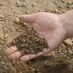 Neue Fachberater für die Bezirksverbände der Kleingärtner in Celle und Lehrte