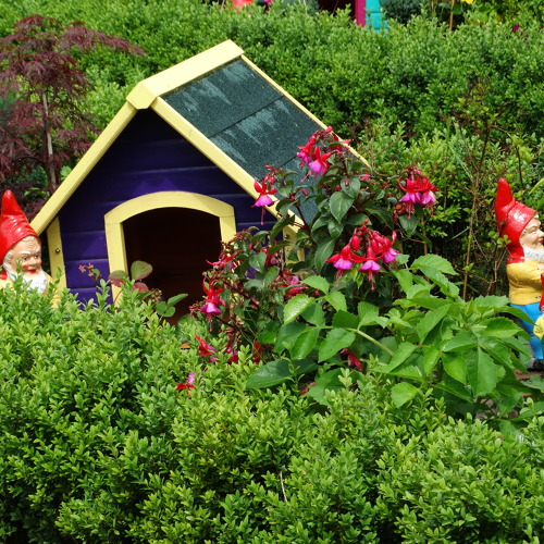 Wettbewerb um den schönsten Kleingarten 2024 im BV Celle