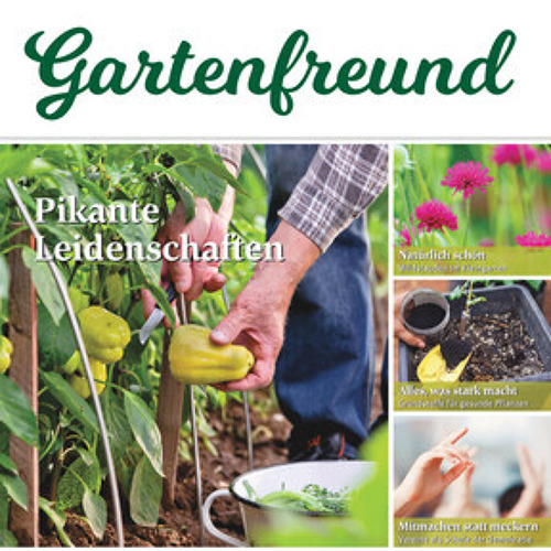 Beitrag Verbandszeitung Februar 2024