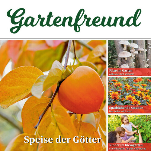 Beitrag Verbandszeitung September 2025