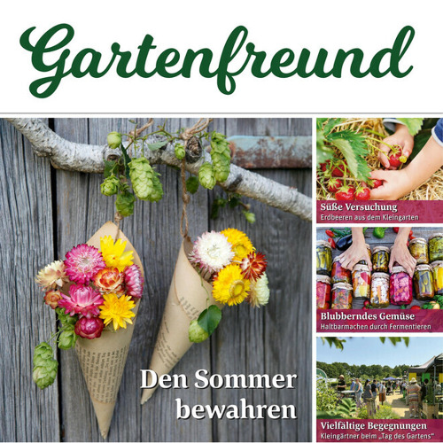 Beitrag Verbandszeitung August 2025