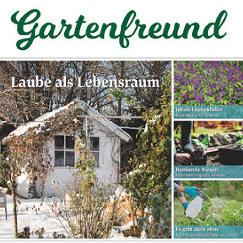 Beitrag Verbandszeitung Januar 2025