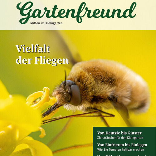 Beitrag Verbandszeitung September 2026
