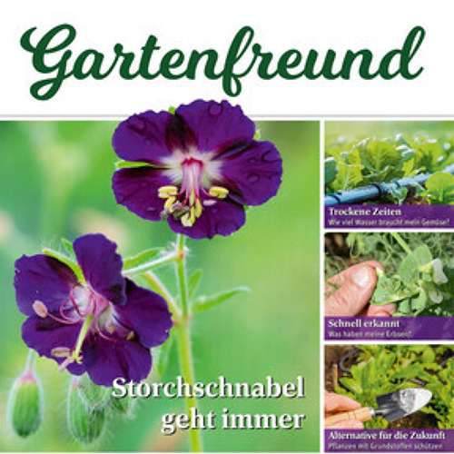 Beitrag Verbandszeitung Juni 2025