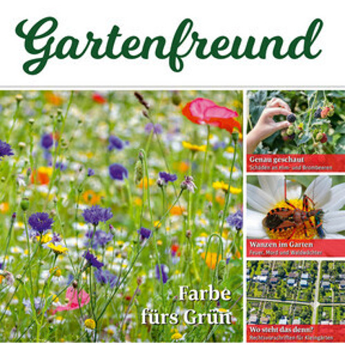 Beitrag Verbandszeitung Juli 2025