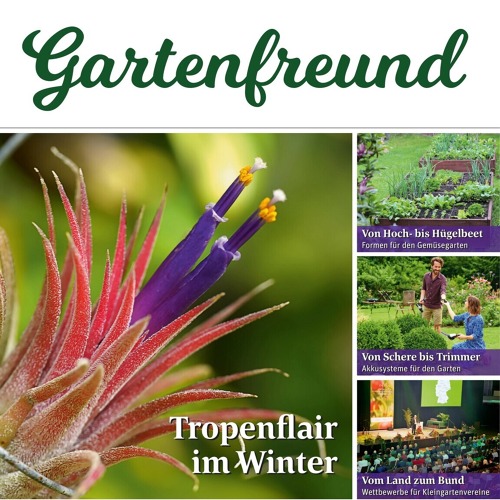 Beitrag Verbandszeitung Dezember 2026