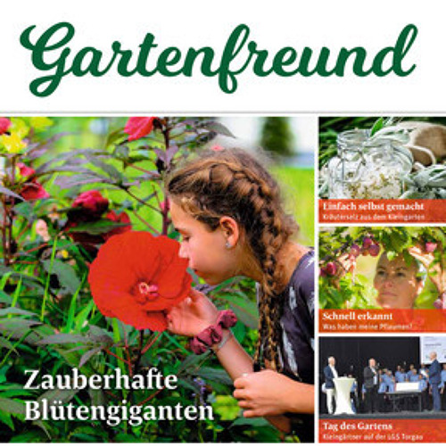 Pressemitteilung August 2022