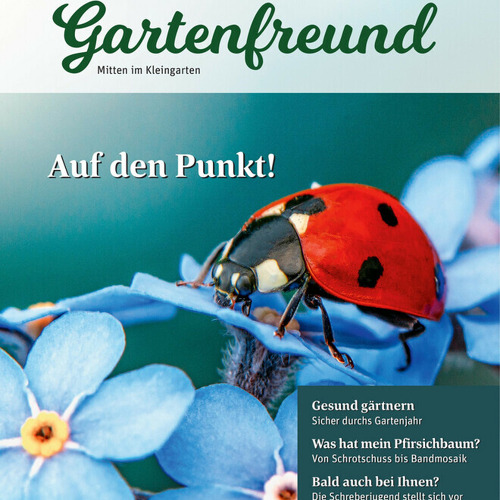 Beitrag Verbandszeitung Juli 2026