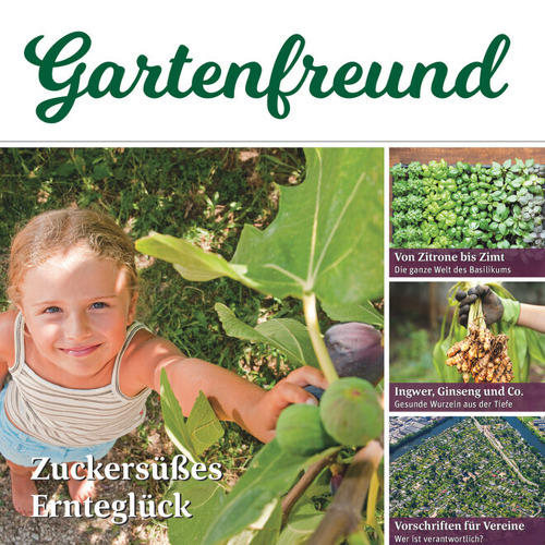 Beitrag Verbandszeitung Mai 2025
