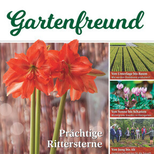 Beitrag Verbandszeitung Dezember 2023