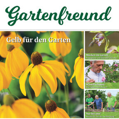 Beitrag Verbandszeitung Juli 2024