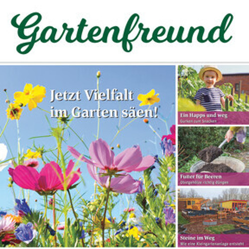 Beitrag Verbandszeitung Mai 2024