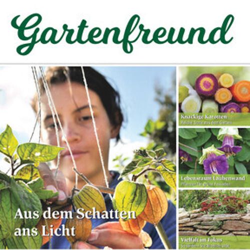 Beitrag Verbandszeitung März 2025
