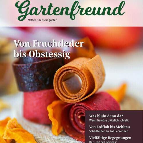 Beitrag Verbandszeitung August 2026