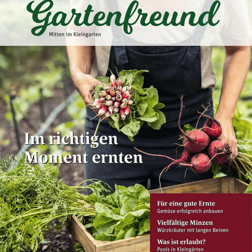 Beitrag Verbandszeitung Juni 2026