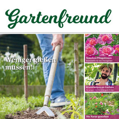 Beitrag Verbandszeitung Juni 2023