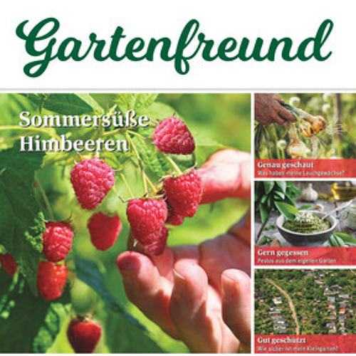 Beitrag Verbandszeitung August 2024